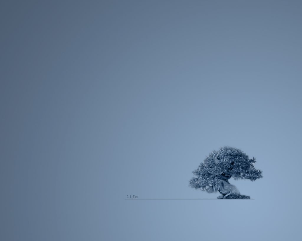 Векторные рисунки
